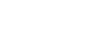 Shopify Partner